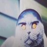 angelicide-v2's profile picture