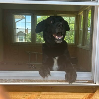 XavienBuner's profile picture