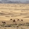 Фото профиля Alghtani ||1927