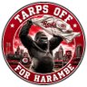 BuckeyeBB's profile picture