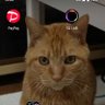 TAMA profil fotoğrafı