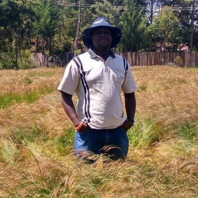 §aruni's profile picture