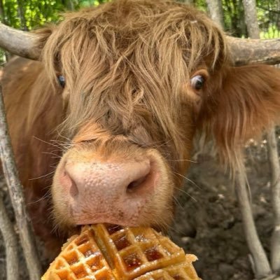 moo205069's profile picture