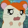 しままる's profile picture
