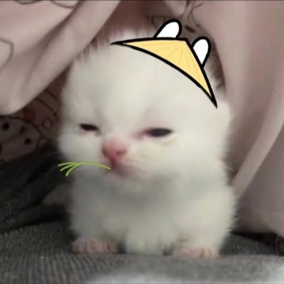 xxxiaomi12138's profile picture