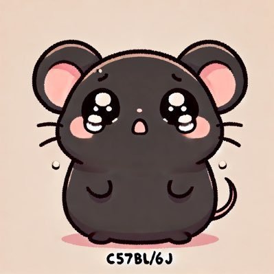 🥺ぴえんねずみ🐀🍝's profile picture