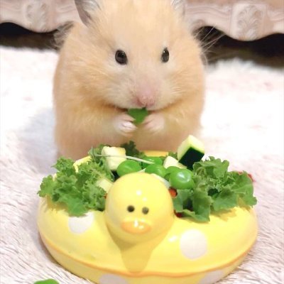 vaultusiy6cns's profile picture