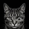 Фото профиля Theta cat