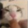 Solu Cion's profile picture