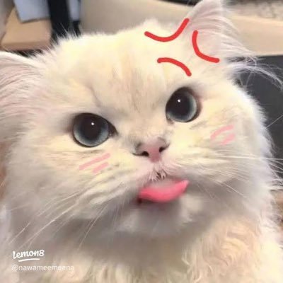 ℬℰℰℛ ⊙ω⊙'s profile picture