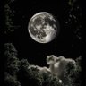 BIGGESTMOON💙🥰 profil fotoğrafı