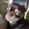 Profilbild von Ronnie dean Johnson jr