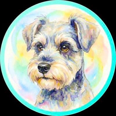shoocoool's profile picture