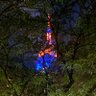 Фото профиля John OConnell