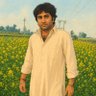 Profilbild von Avashesh Puri
