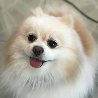ThCopyC4T's profile picture