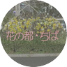 Profilbild von 74の権兵衛