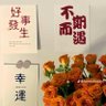柏拉图 profil fotoğrafı