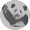 ayaayahg's profile picture
