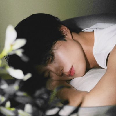 gummy 🇵🇸's profile picture