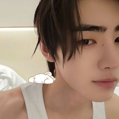 bloomingwingss's profile picture