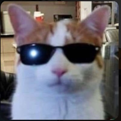 پَر's profile picture