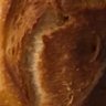Tolga's profile picture