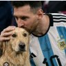 Junior Messista profil fotoğrafı