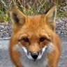Profilbild von MucketyMuck