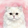 ใฝใฝ๐ฐ๐คโก๏ธ's profile picture