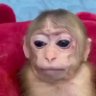 ginho +18's profile picture