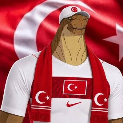 insanazorting's profile picture