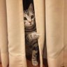Фото профиля 俺の名を言ってみろ