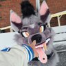 ⛥Hyena Enthusiast⛦ 的头像
