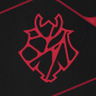 G2 CS's profile picture