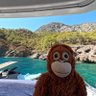 Ada profil fotoğrafı