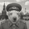 Фото профиля Bolschewismus Strolchi