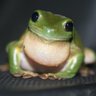 ninny profil fotoğrafı