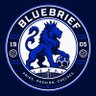 Фото профиля Bluebrief
