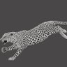 Фото профиля Jaguar