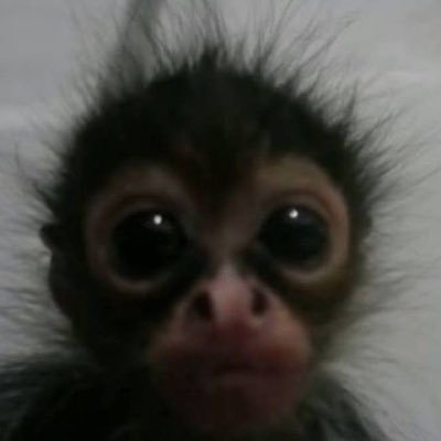 thistnnm_'s profile picture