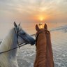 Profilbild von مرّيـم||🐎🤎