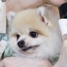 LuckyToMeetOrm🍳 的头像