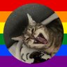 coda's profile picture