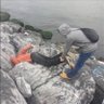zey 的头像