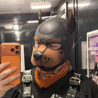 dobiedoggo's profile picture