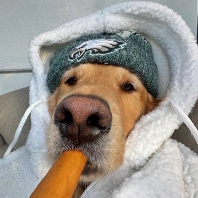 IamDijami's profile picture