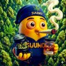 🌸🌸SUUMO👊👊's profile picture