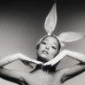 korispetal's profile picture