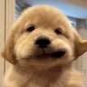 pim (no r) profil fotoğrafı